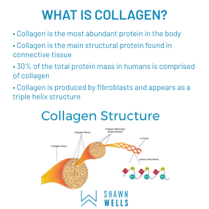What is collagen?