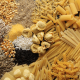 Your Guide To Antinutrients from Plants