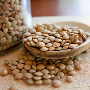 Lectins on Your Guide To Antinutrients from Plants