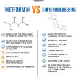 Shawn Wells Metformin vs. Dihydroberberine