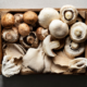 Shawn Wells l-ergothioneine in mushrooms