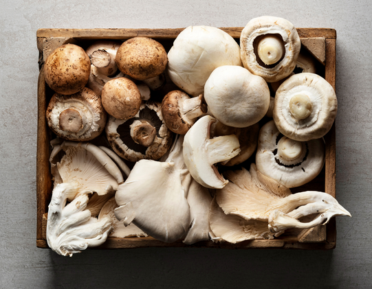 Shawn Wells l-ergothioneine in mushrooms