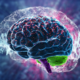 Shawn Wells The Ingredientologist Nootropics