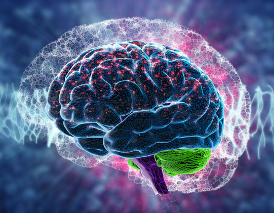 Shawn Wells The Ingredientologist Nootropics