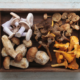 Shawn Wells The Ingredientologist Medicinal Mushrooms