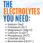 Shawn Wells Morning Biohacks Hydration With Electrolytes