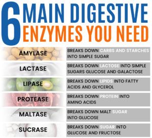 Shawn Wells Lost of digestive enzymes